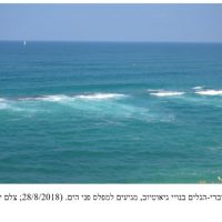 הגיאוטיוב וחופי אשקלון האומללים – ד"ר יעקב ניר- גיאולוג ימי וחופי