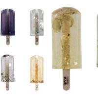 100 ארטיקים בטעמי מים מזוהמים