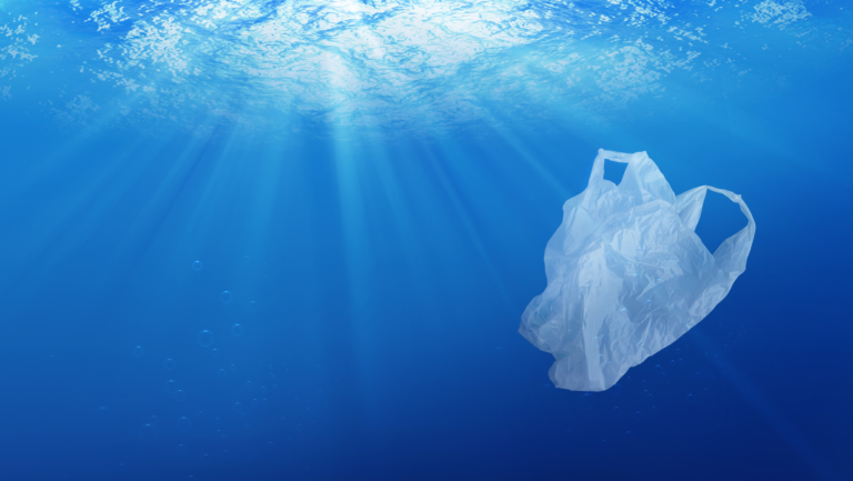 תמונה של שקית פלסטיק שוקעת בלב הים